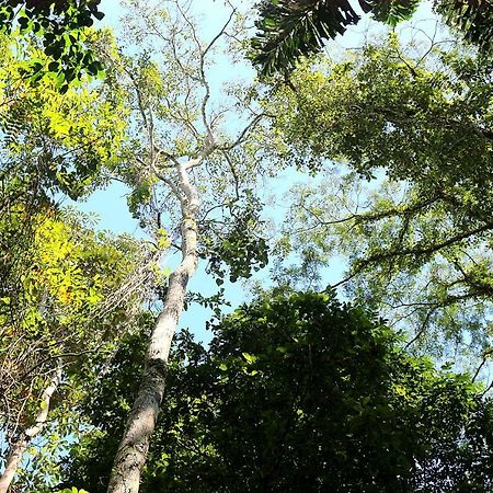 Misahualli Amazon Lodge Tena Eksteriør bilde