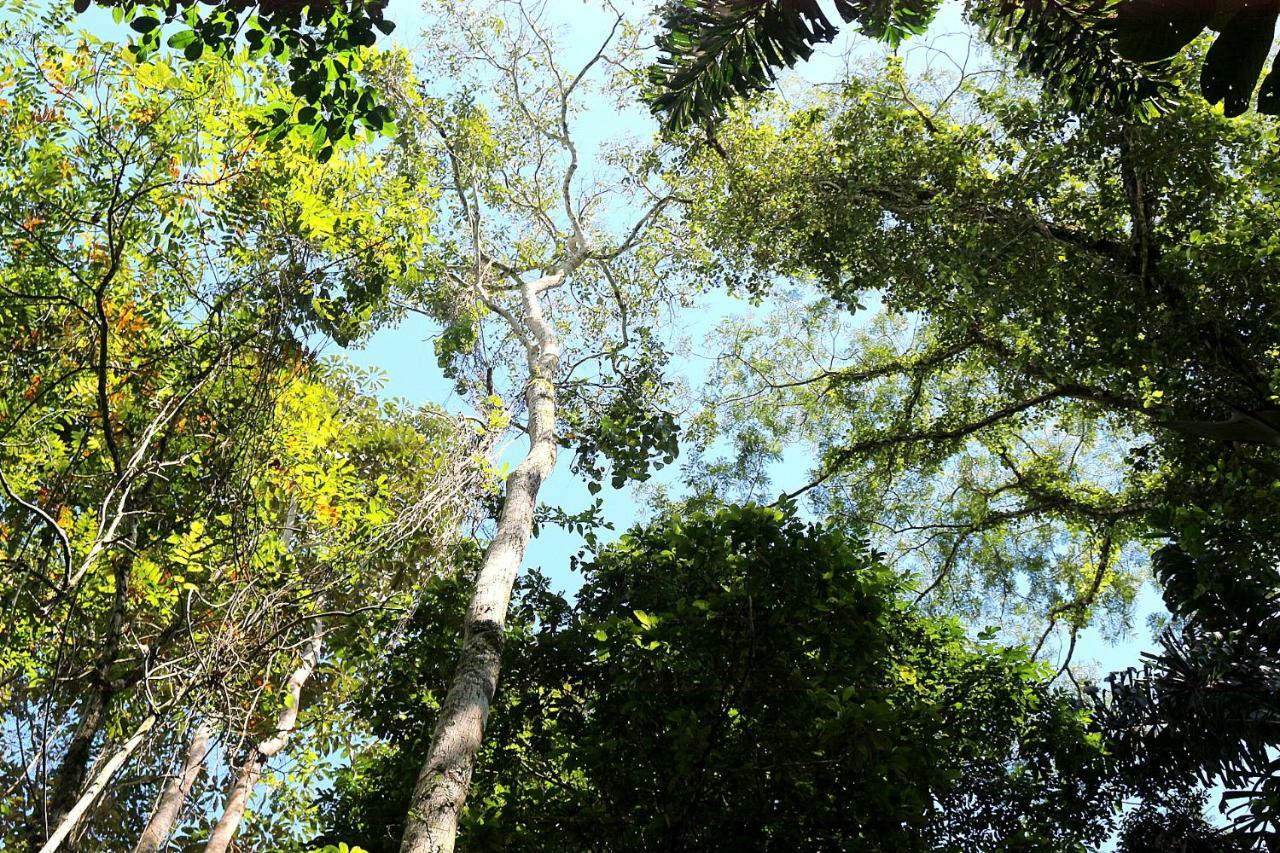 Misahualli Amazon Lodge Tena Eksteriør bilde
